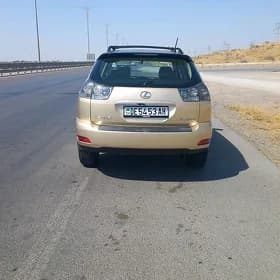 Lexus RX 330 2004