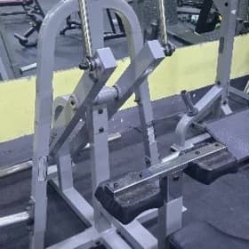 trenajor body solid
