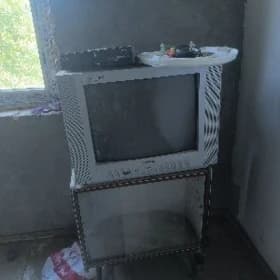 Telewizor