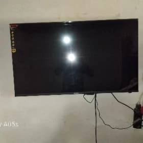 Telewizir lis 43