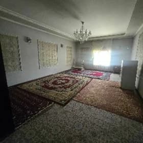 anev magtymguly