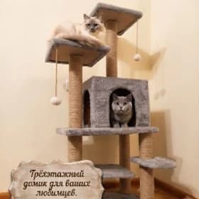 Домик для котов