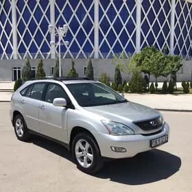 Lexus RX 330 2004