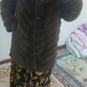 şuba