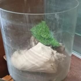 Продаю аквариум недорого