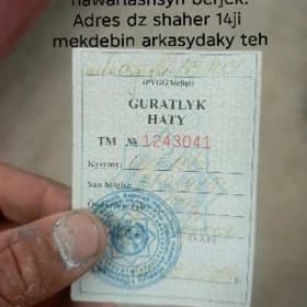 tehpasport