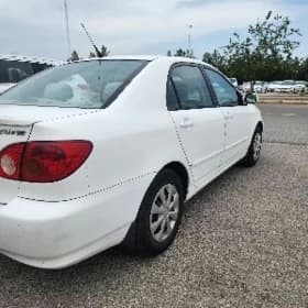 Stupitsa carolla