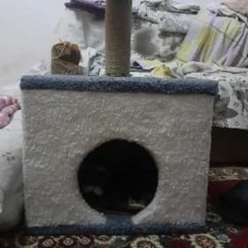 домик для кошки