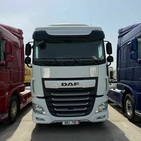DAF 480 2021