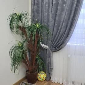 palma gül ve otag gül