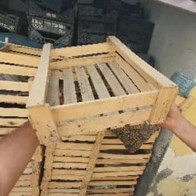 yas yaşik