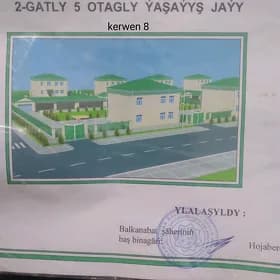 baleysem kerwen 8 yer