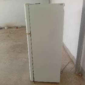 haladinlik