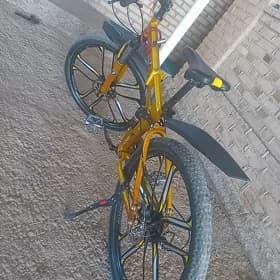 BMW Welik