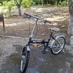 SATLYK TIGIR