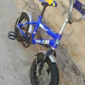 kici tigir welik welsopet