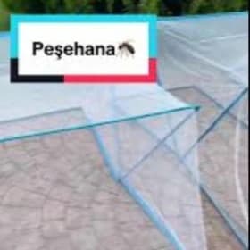peşehana