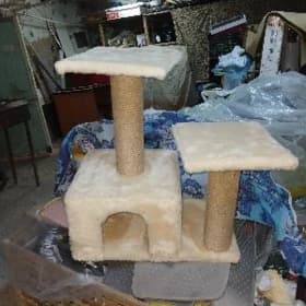 Кошачий дом