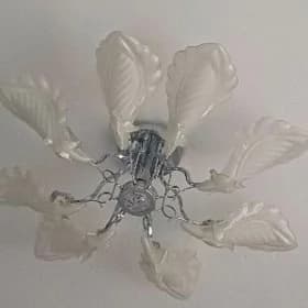 lustra lusdyra
