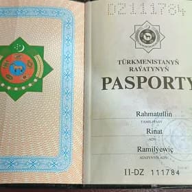 passport taptym