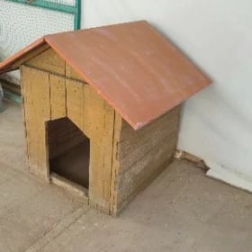 İt jay