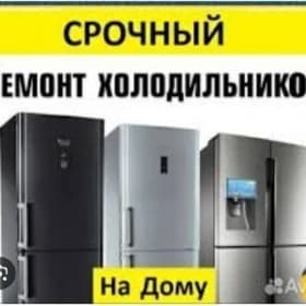 холодильник ремонт любых видов