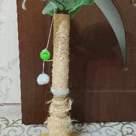 когтеточка для кошек