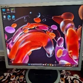Monitor Samsung 19Inc