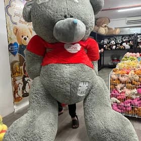 mişka teddy