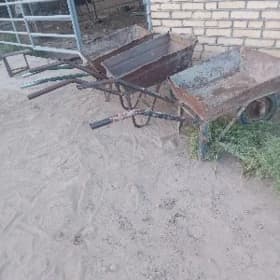 kaltak