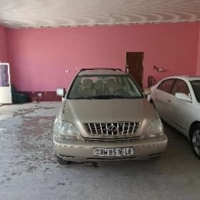 Lexus RX 300 2002