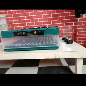 inkubator 98 yumurtgalyk