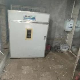 Inkubator Инкубатор