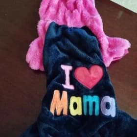 одежда для собак