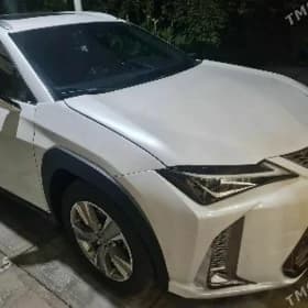 Lexus UX 250h 2023
