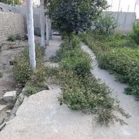 işgär gerek ot aýyrmaly