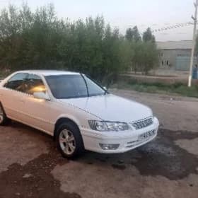 prawa yitdi