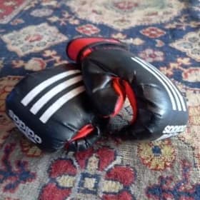 Percatka 🥊