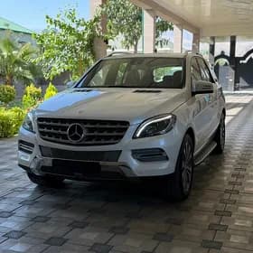Mercedes-Benz ML500 2014