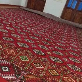 turkmen haly taze
