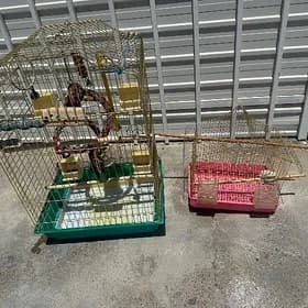 клетки для попугаев