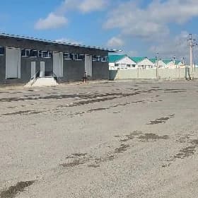 Совадыжы аммарлар