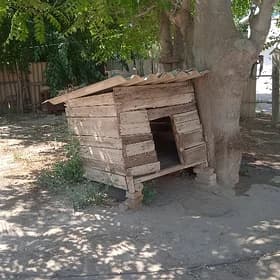 Yatak, ketek