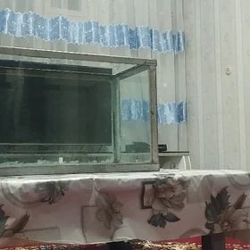 Аквариум Akwarium