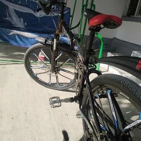 Tigir BMW gara reňk