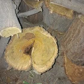Bag kesmek