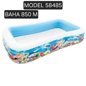 AMATLY BASSEYINLAR CEHOLLAR