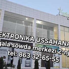 Elektronika ussahanasy