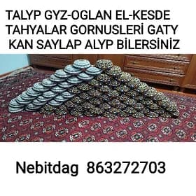 Talyp tahyalar