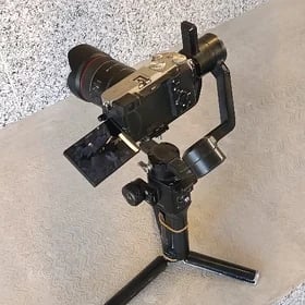 sc ronin